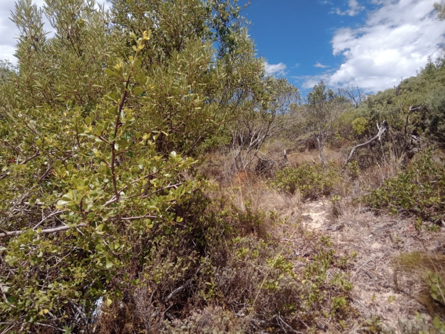 Commercial Property for Sale in Paradise Beach Eastern Cape